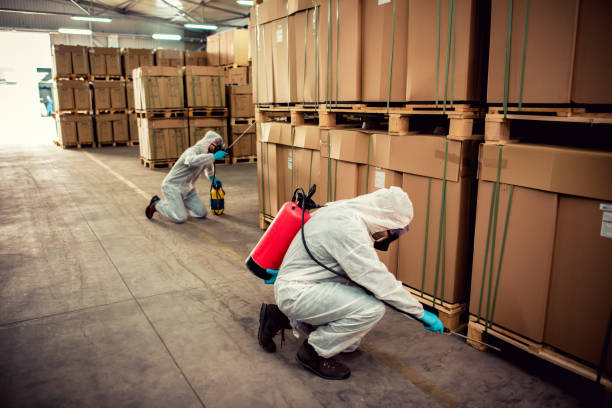Best Pest Inspection Near Me  in Pickerington, OH