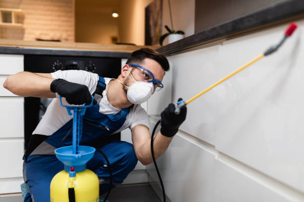 Best Pest Control Near Me  in Pickerington, OH
