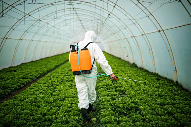 Best Local Pest Control Services  in Pickerington, OH