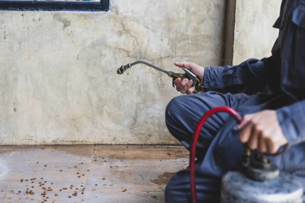 Best Flea Control Services  in Pickerington, OH
