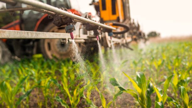 Best Wildlife Control Services  in Pickerington, OH